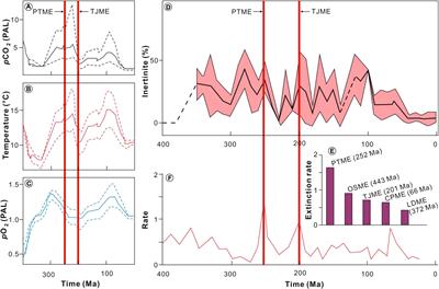 Significant floral changes across the Permian-Triassic and Triassic-Jurassic transitions induced by widespread wildfires